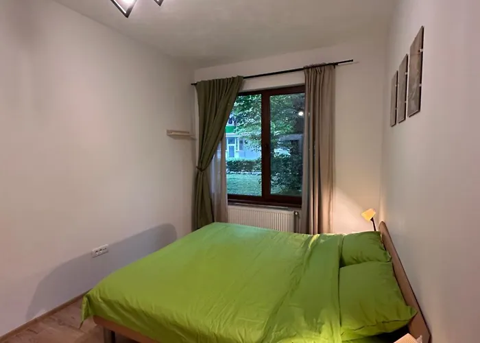 Lejlighed Alberta Braşov